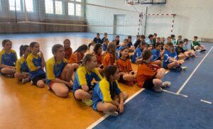 WICEMISTRZOSTWA POWIATU LUBIŃSKIEGO W MINISIATKÓWCE